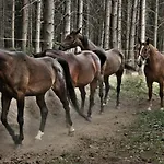 Ranc U Edyho Námestovo