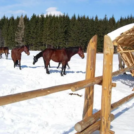 Ranc U Edyho * Námestovo