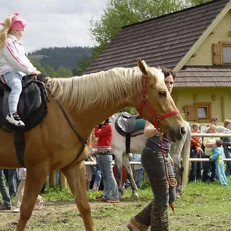 Gospodarstwo wiejskie Ranc U Edyho *