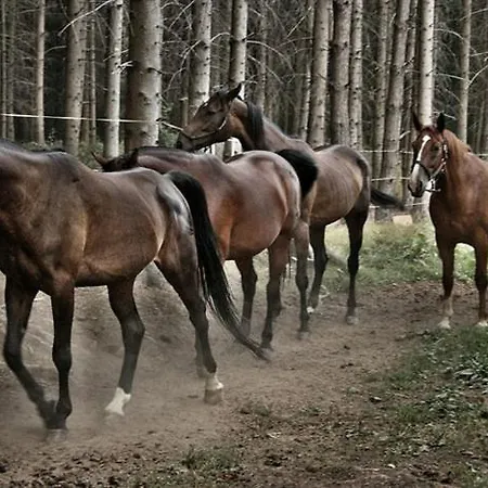 Ranc U Edyho Namiestów