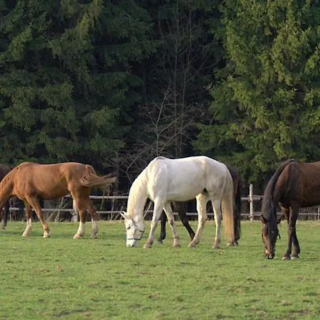 Ranc U Edyho בית כפרי