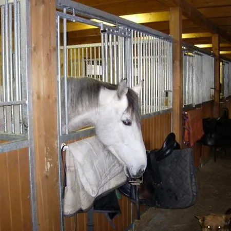 Ranc U Edyho Gospodarstwo wiejskie *