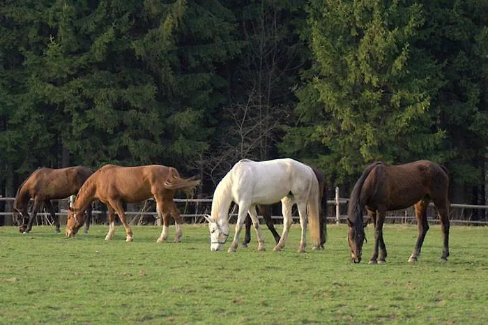 Ranc U Edyho Lantställe
